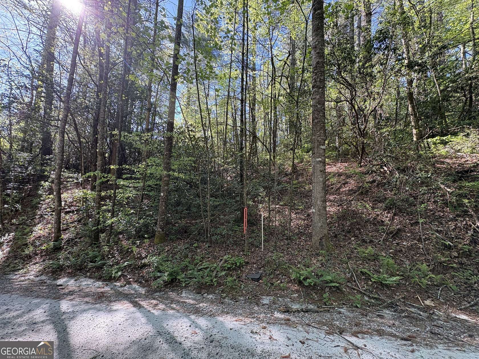 1 Acre of Residential Land for Sale in Rabun Gap, Georgia