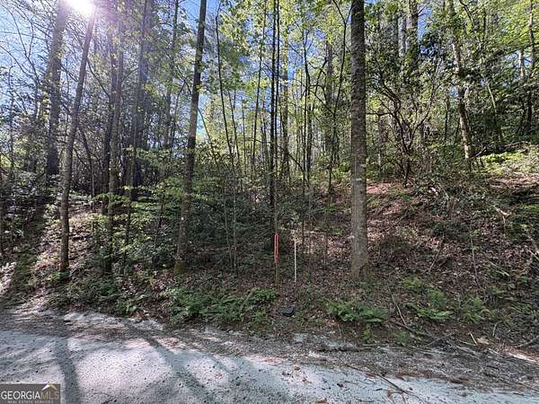 1 Acre of Residential Land for Sale in Rabun Gap, Georgia