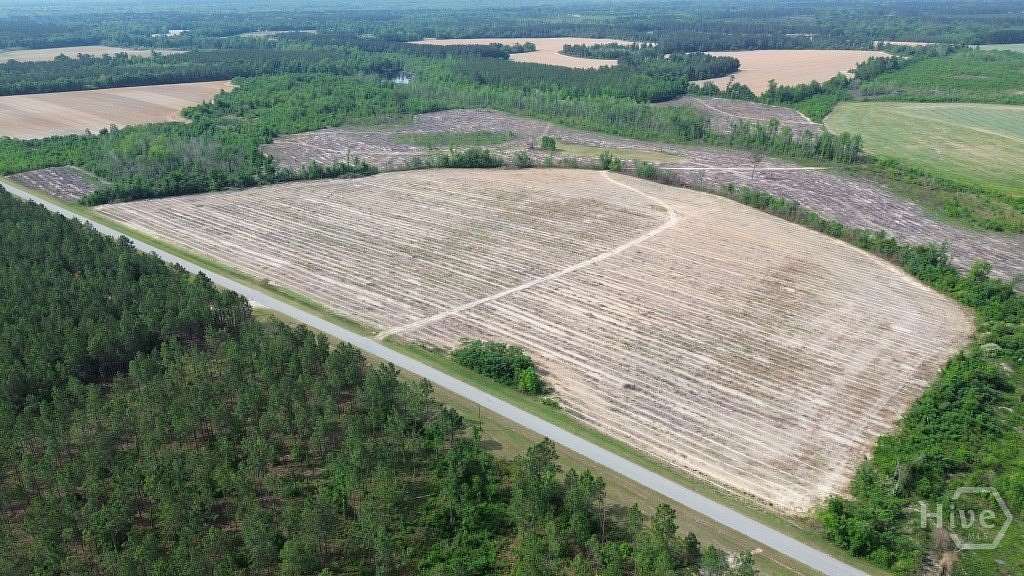 90 Acres of Recreational & Residential Land for Sale in Midville, Georgia