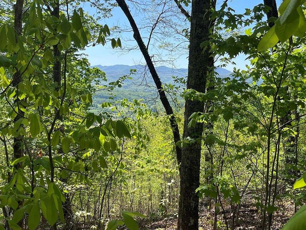 1 Acre of Residential Land for Sale in Hayesville, North Carolina