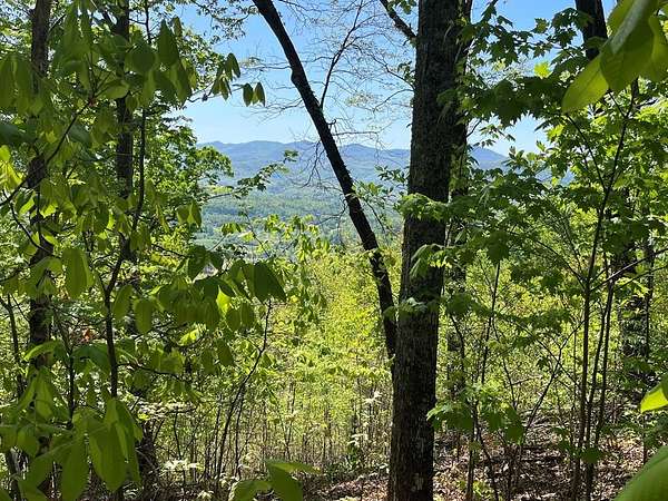 1 Acre of Residential Land for Sale in Hayesville, North Carolina