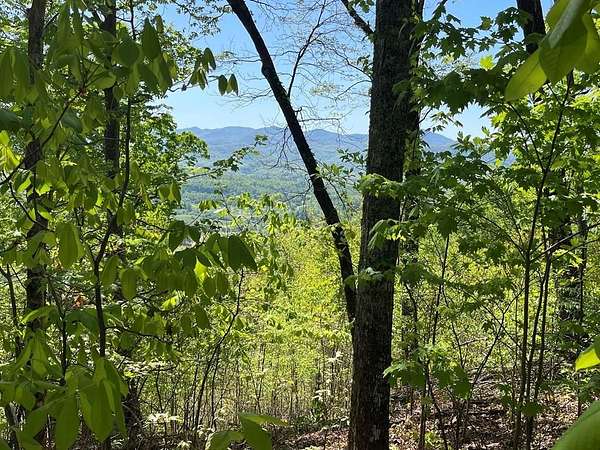 1 Acre of Residential Land for Sale in Hayesville, North Carolina
