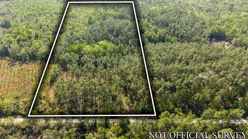 10.3 Acres of Recreational Land for Sale in Steinhatchee, Florida