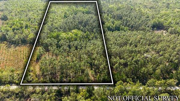 10.3 Acres of Recreational Land for Sale in Steinhatchee, Florida