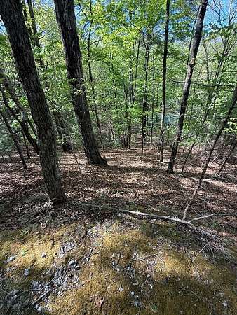0.74 Acres of Residential Land for Sale in Otto, North Carolina