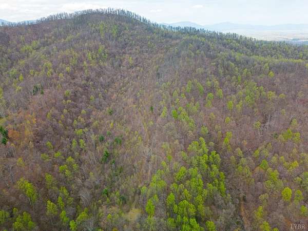 69.2 Acres of Recreational & Residential Land for Sale in Monroe, Virginia