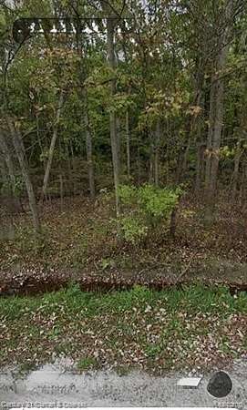 Residential Land for Sale in Ray Township, Michigan