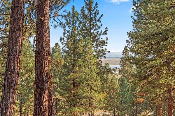 6.67 Acres of Land for Sale in Cascade, Idaho