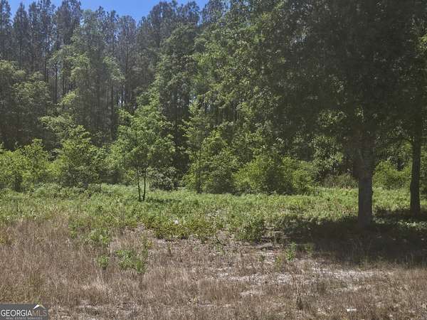 4.28 Acres of Residential Land for Sale in Millen, Georgia