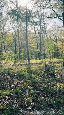 10.1 Acres of Recreational & Residential Land for Sale in Barnett, Missouri