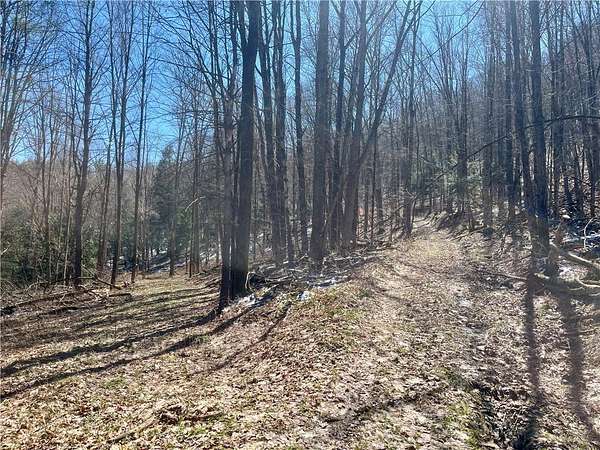 26.7 Acres of Recreational Land for Sale in Hartwick, New York