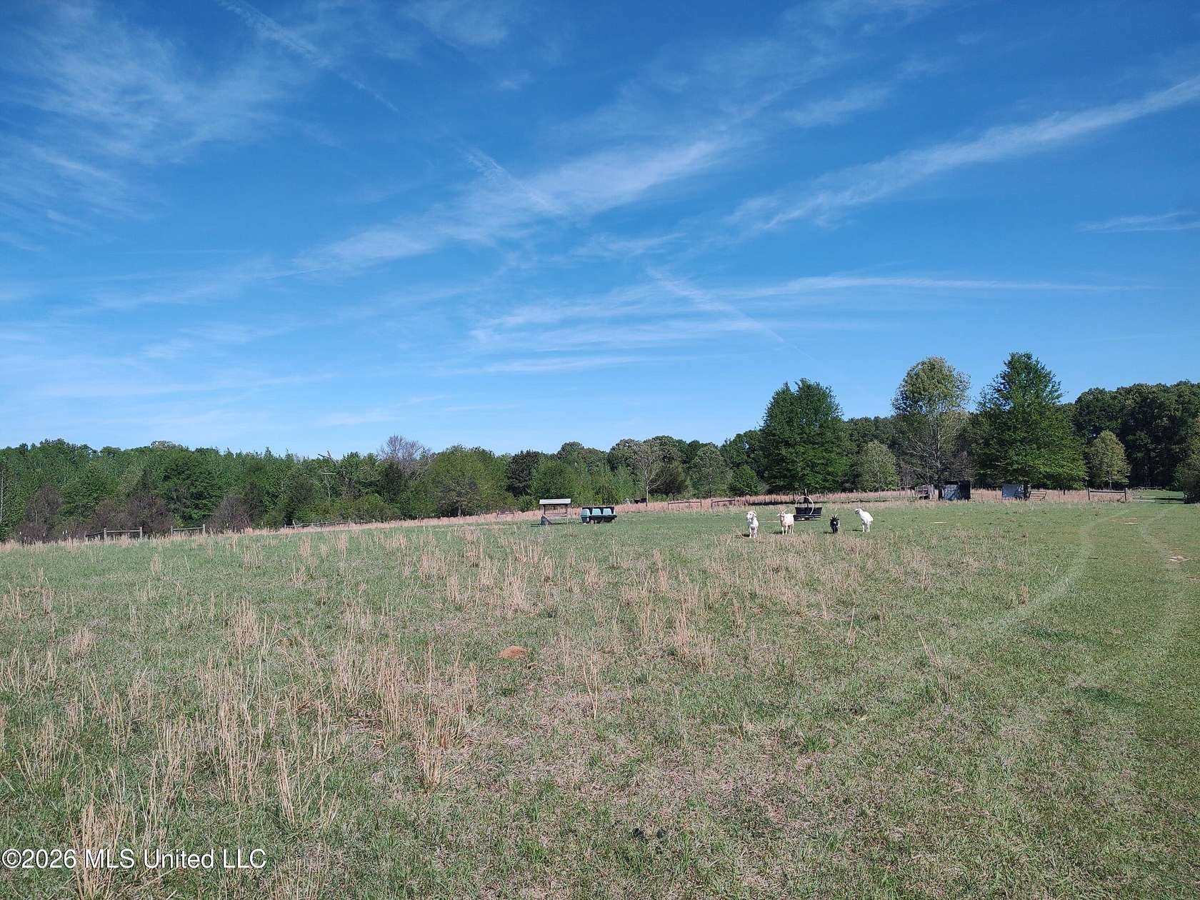 19.2 Acres of Land for Sale in Utica, Mississippi