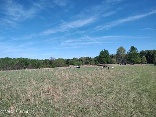 19.2 Acres of Land for Sale in Utica, Mississippi