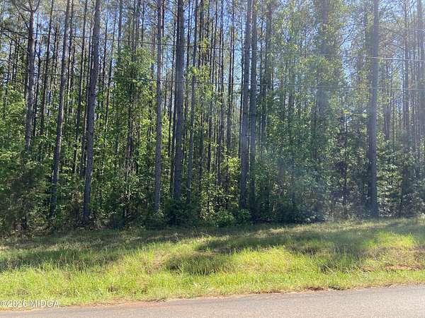 10 Acres of Land for Sale in Forsyth, Georgia