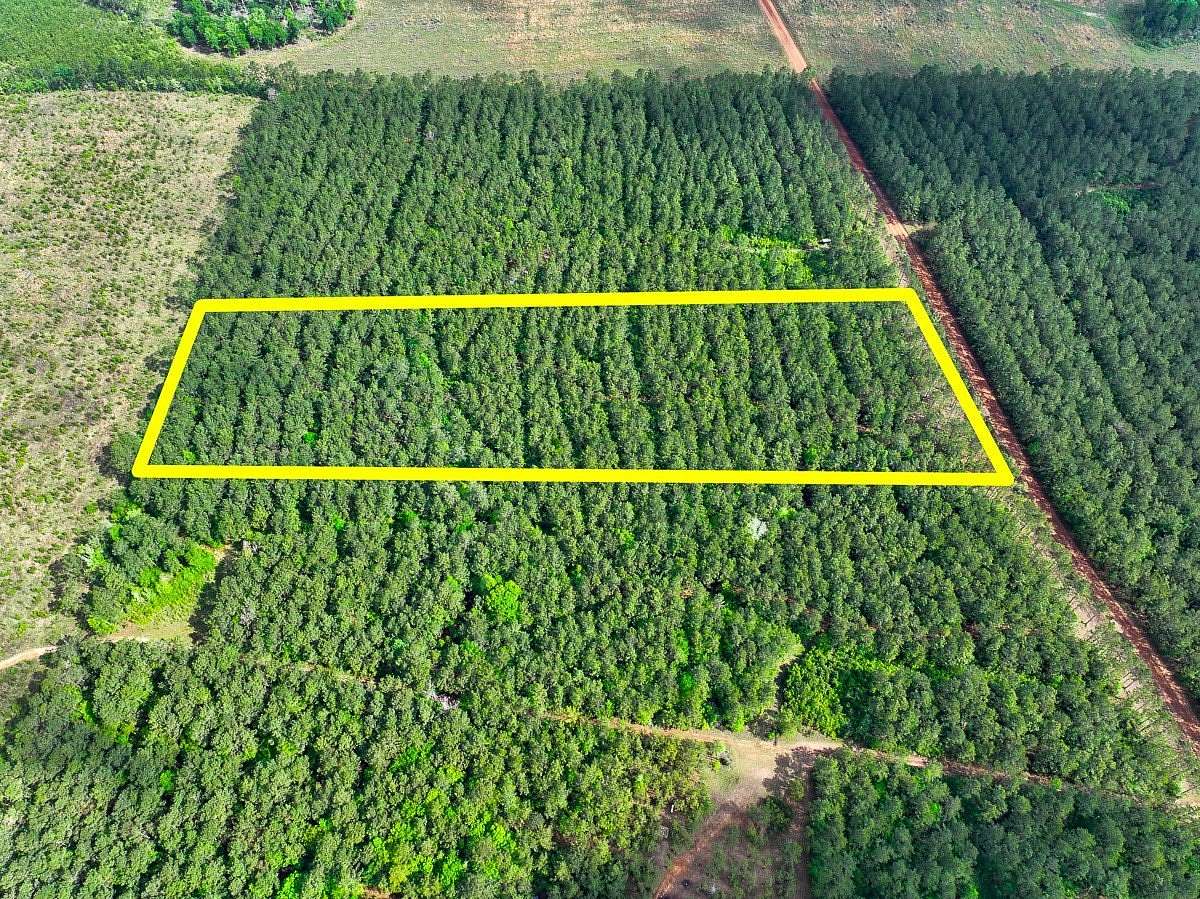10.5 Acres of Recreational & Residential Land for Sale in Livingston, Texas