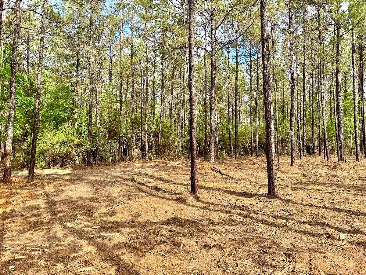 10.5 Acres of Recreational & Residential Land for Sale in Livingston, Texas