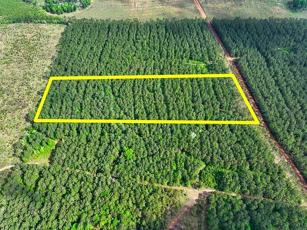 10.5 Acres of Recreational & Residential Land for Sale in Livingston, Texas