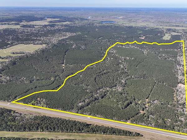 248 Acres of Recreational Land for Sale in Livingston, Texas