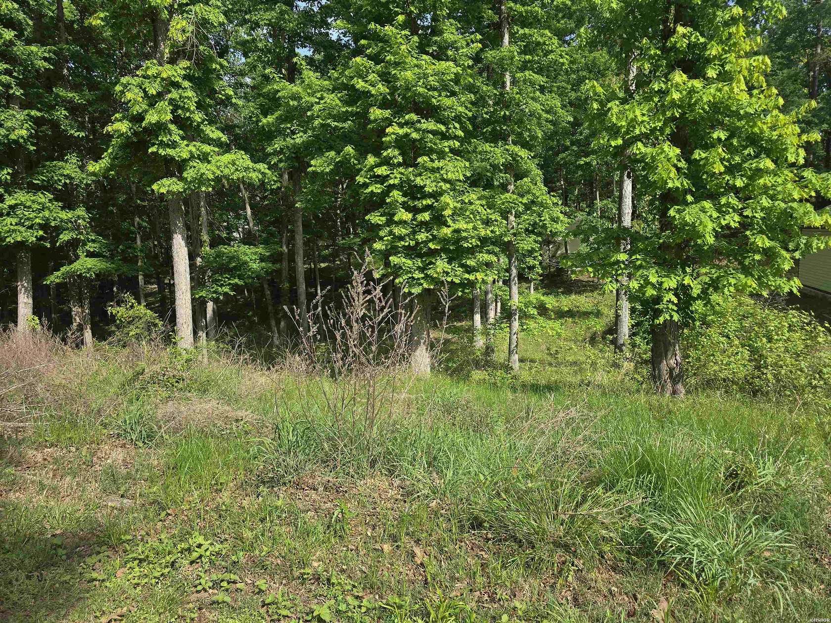 0.33 Acres of Residential Land for Sale in Hot Springs, Arkansas