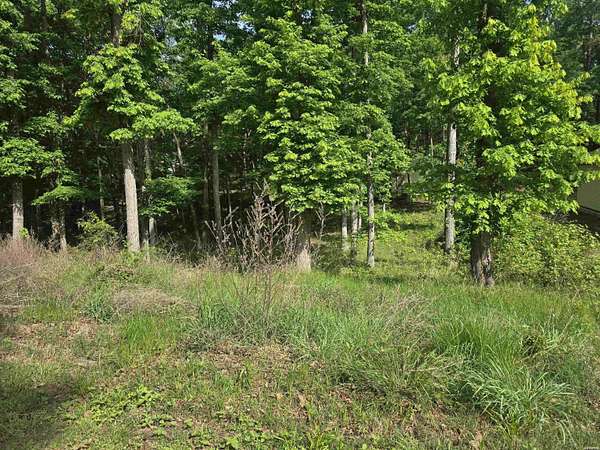 0.33 Acres of Residential Land for Sale in Hot Springs, Arkansas