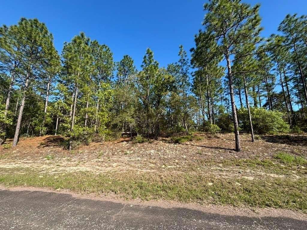 0.23 Acres of Residential Land for Sale in Citrus Springs, Florida