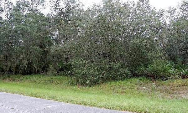 0.19 Acres of Residential Land for Sale in Poinciana, Florida