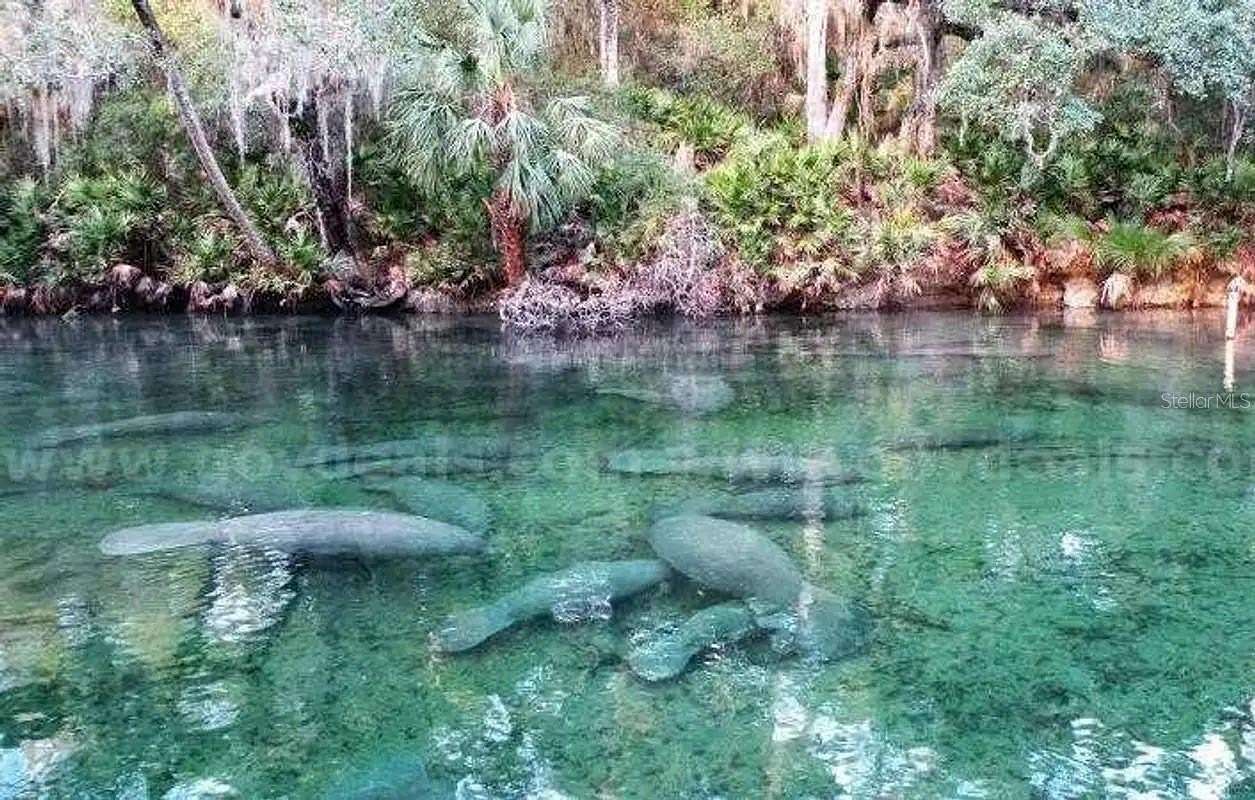 0.17 Acres of Residential Land for Sale in DeLand, Florida