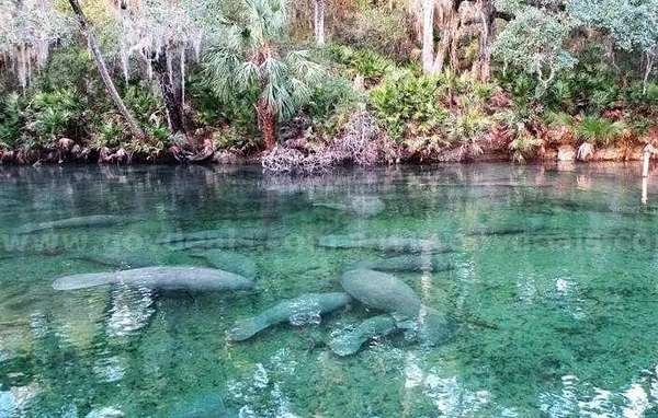 0.17 Acres of Residential Land for Sale in DeLand, Florida