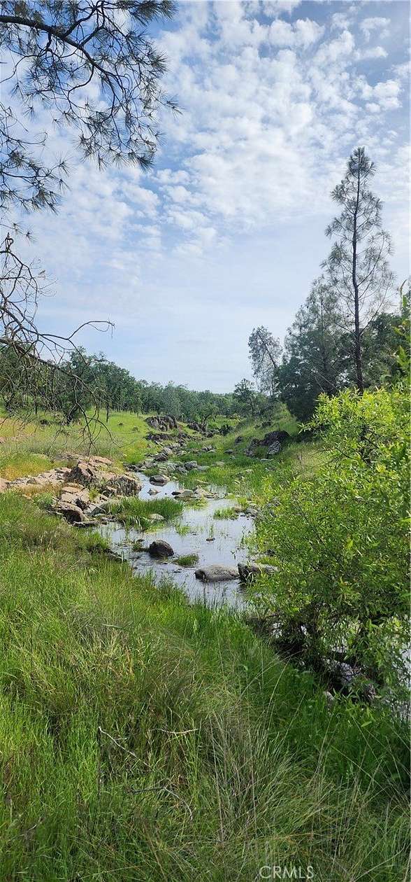 20 Acres of Land for Sale in Palermo, California