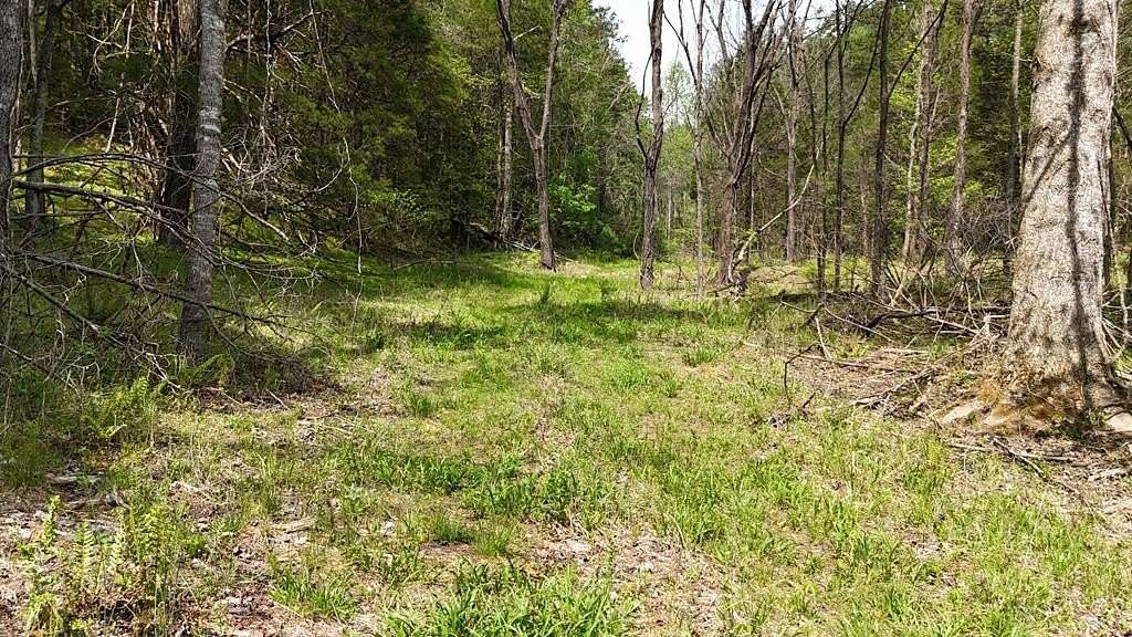 12.7 Acres of Recreational Land for Sale in Murphy, North Carolina