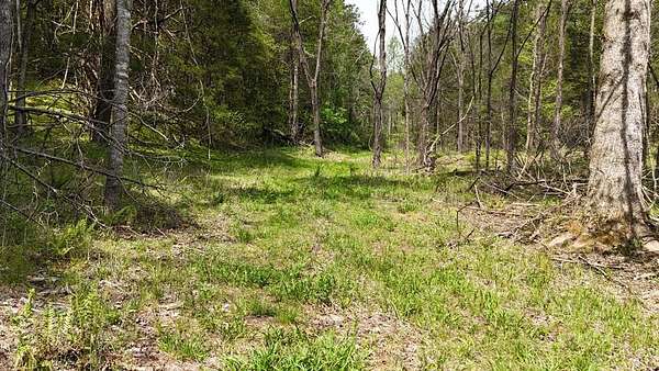 12.7 Acres of Recreational Land for Sale in Murphy, North Carolina