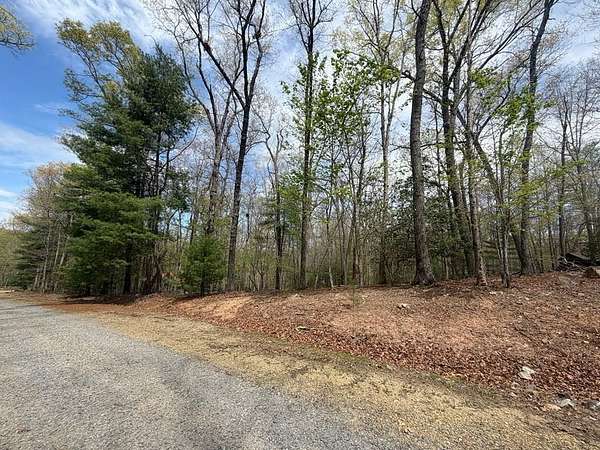 1.46 Acres of Land for Sale in Morganton, Georgia