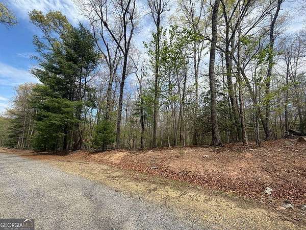 1.46 Acres of Land for Sale in Morganton, Georgia