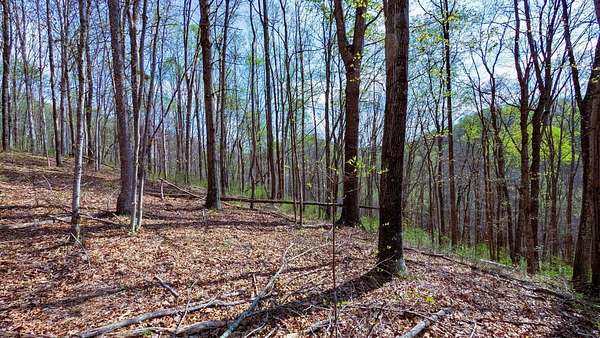 32.3 Acres of Recreational & Residential Land for Sale in Londonderry, Ohio