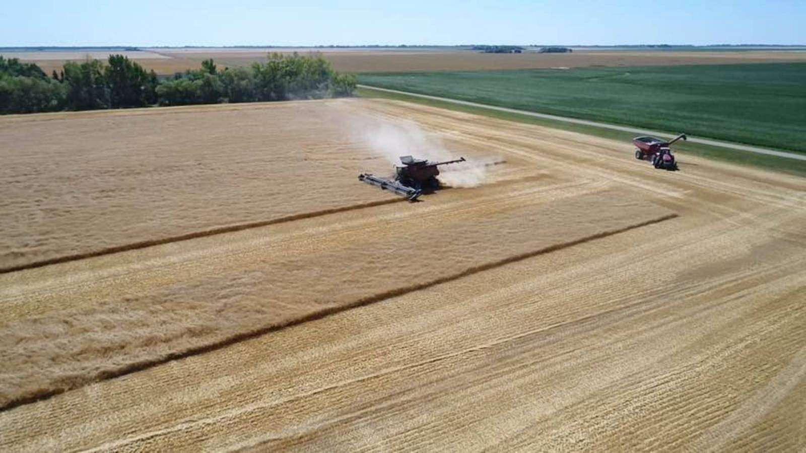 153 Acres of Agricultural Land for Sale in Bottineau, North Dakota