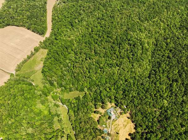 58.9 Acres of Recreational & Residential Land for Sale in Hartford, Kentucky