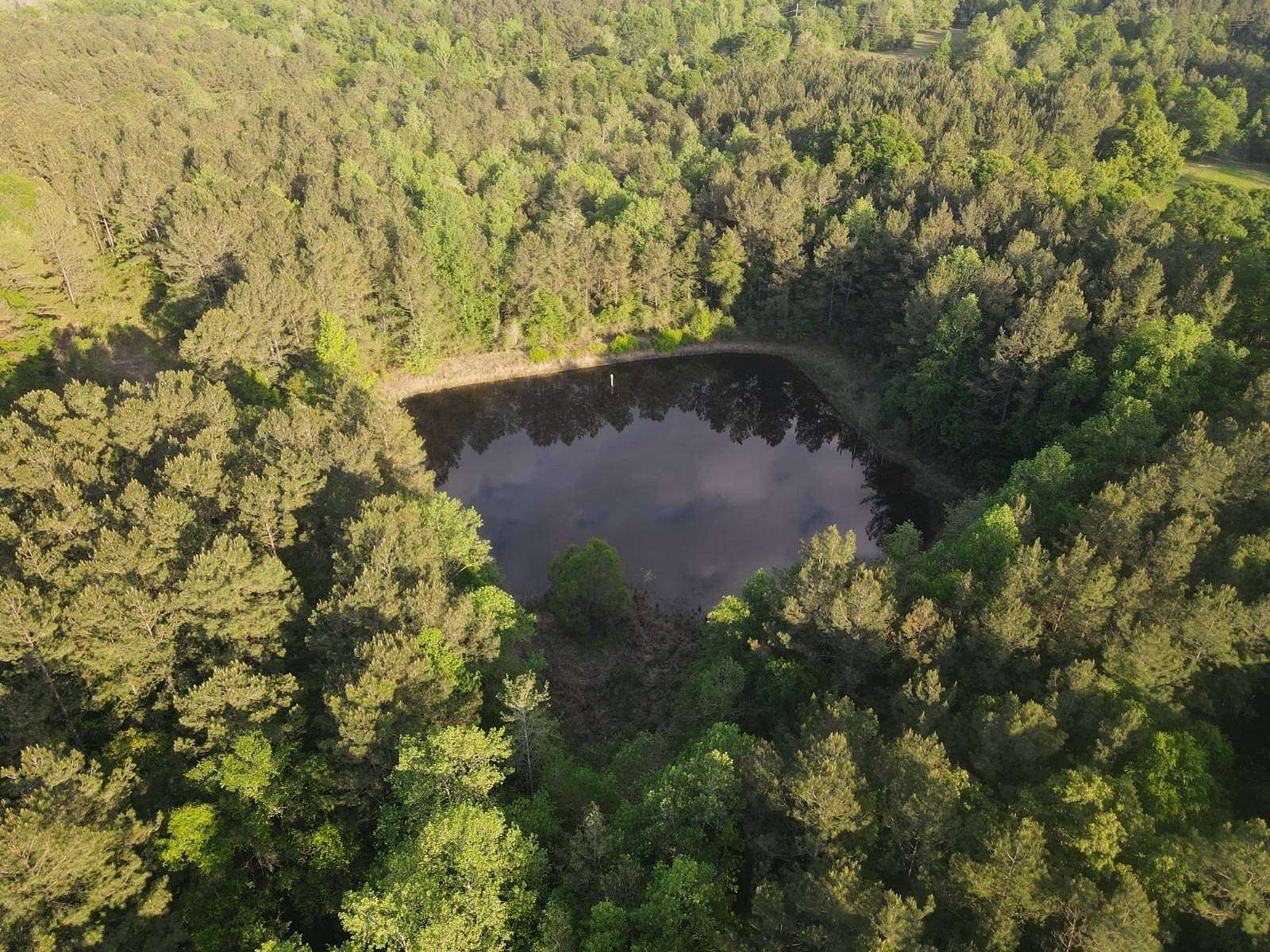 42 Acres of Land for Sale in Hattiesburg, Mississippi