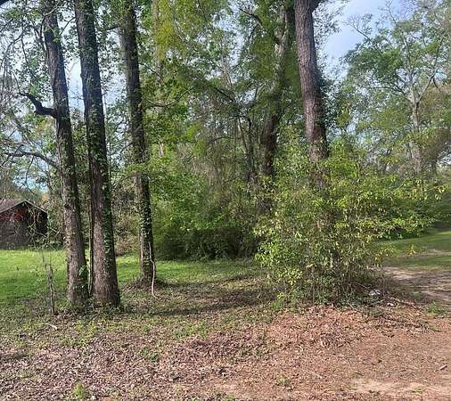 0.57 Acres of Residential Land for Sale in Jasper, Texas