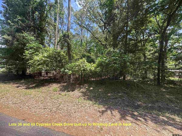 0.5 Acres of Residential Land for Sale in Mount Vernon, Texas