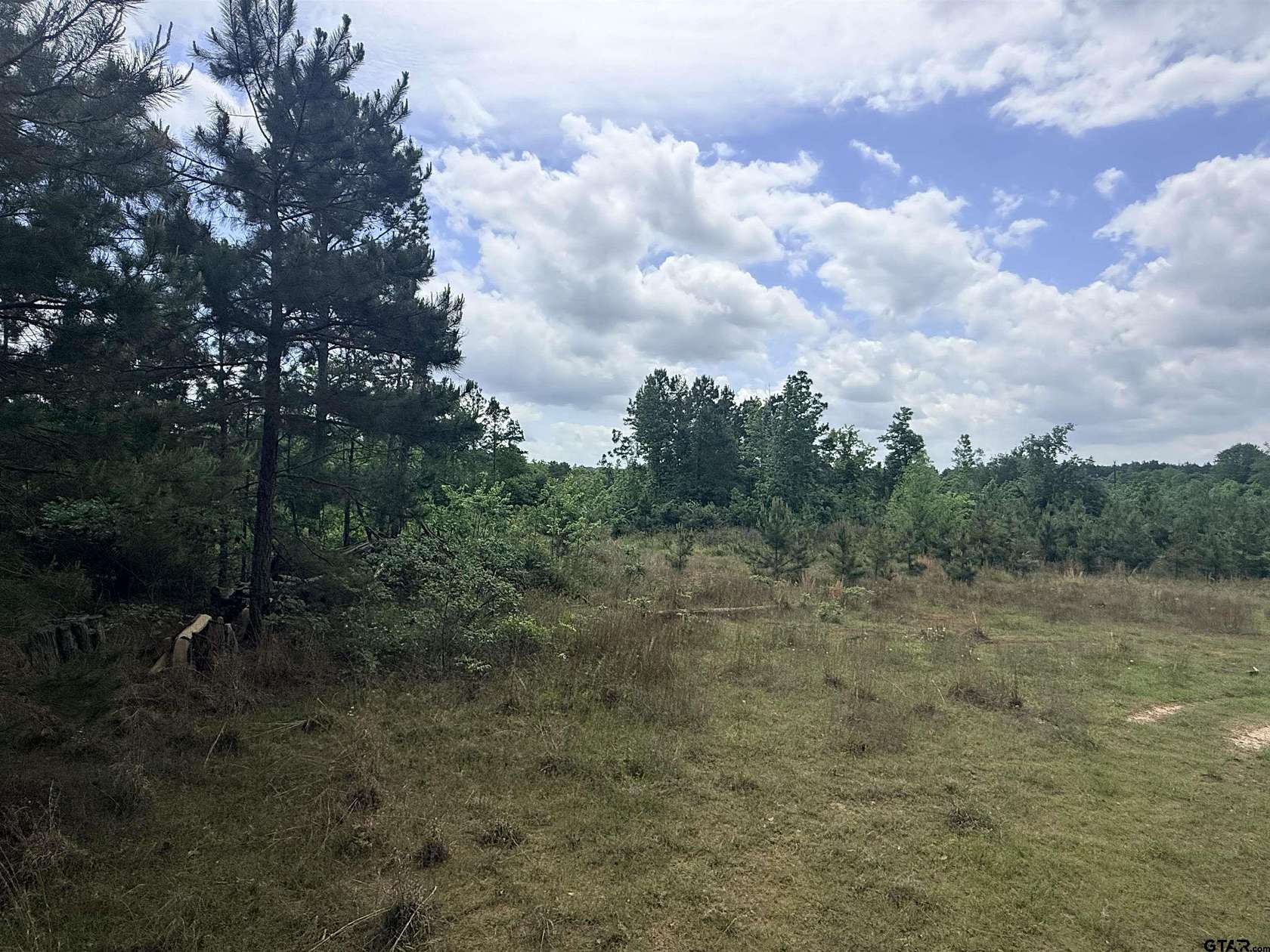 17.8 Acres of Land for Sale in Henderson, Texas