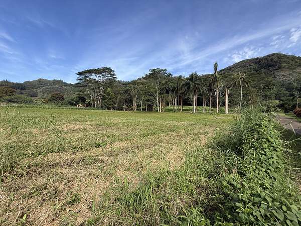 5 Acres of Land for Sale in Kapaa, Hawaii