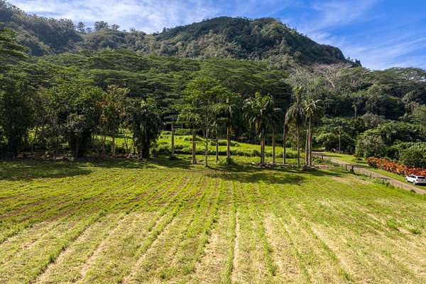 5 Acres of Land for Sale in Kapaa, Hawaii