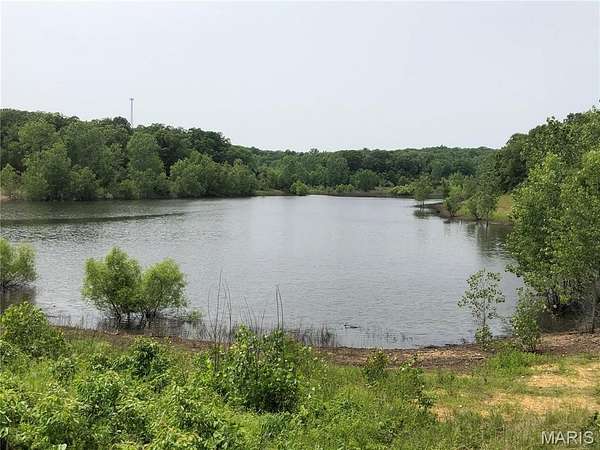 68 Acres of Agricultural & Residential Land for Sale in De Soto, Missouri