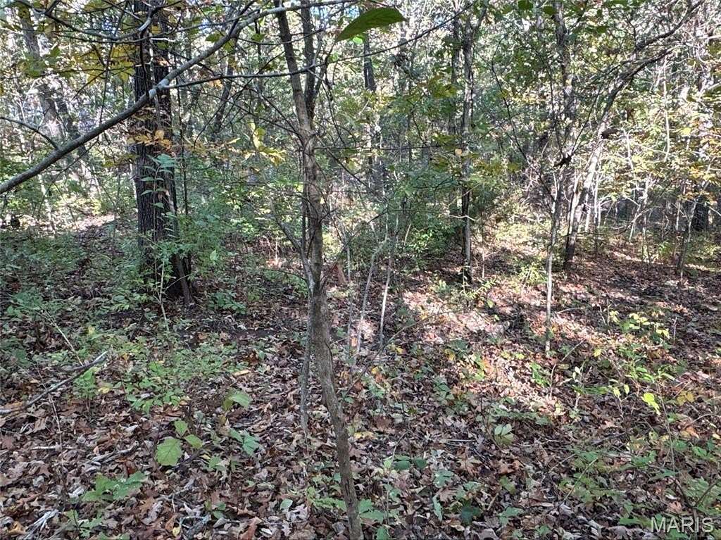 0.28 Acres of Residential Land for Sale in Bonne Terre, Missouri