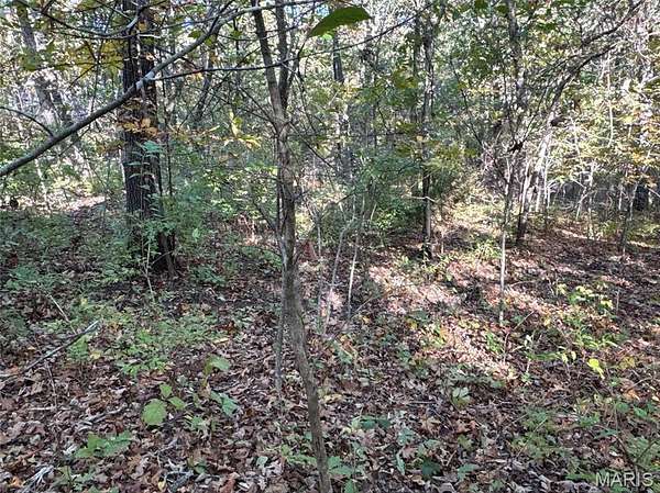 0.28 Acres of Residential Land for Sale in Bonne Terre, Missouri