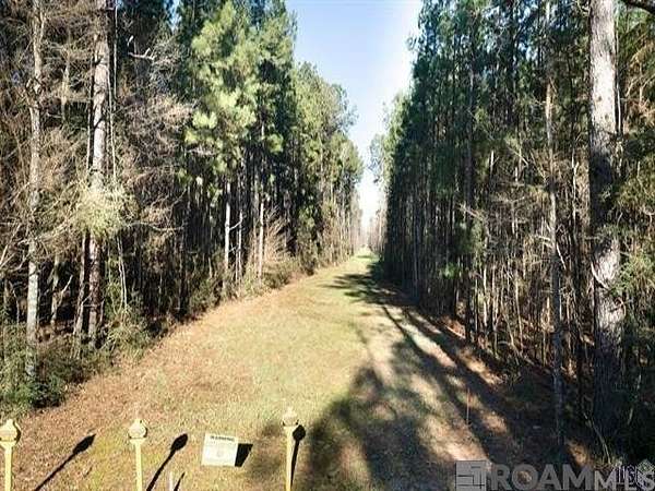4.74 Acres of Land for Sale in Greenwell Springs, Louisiana