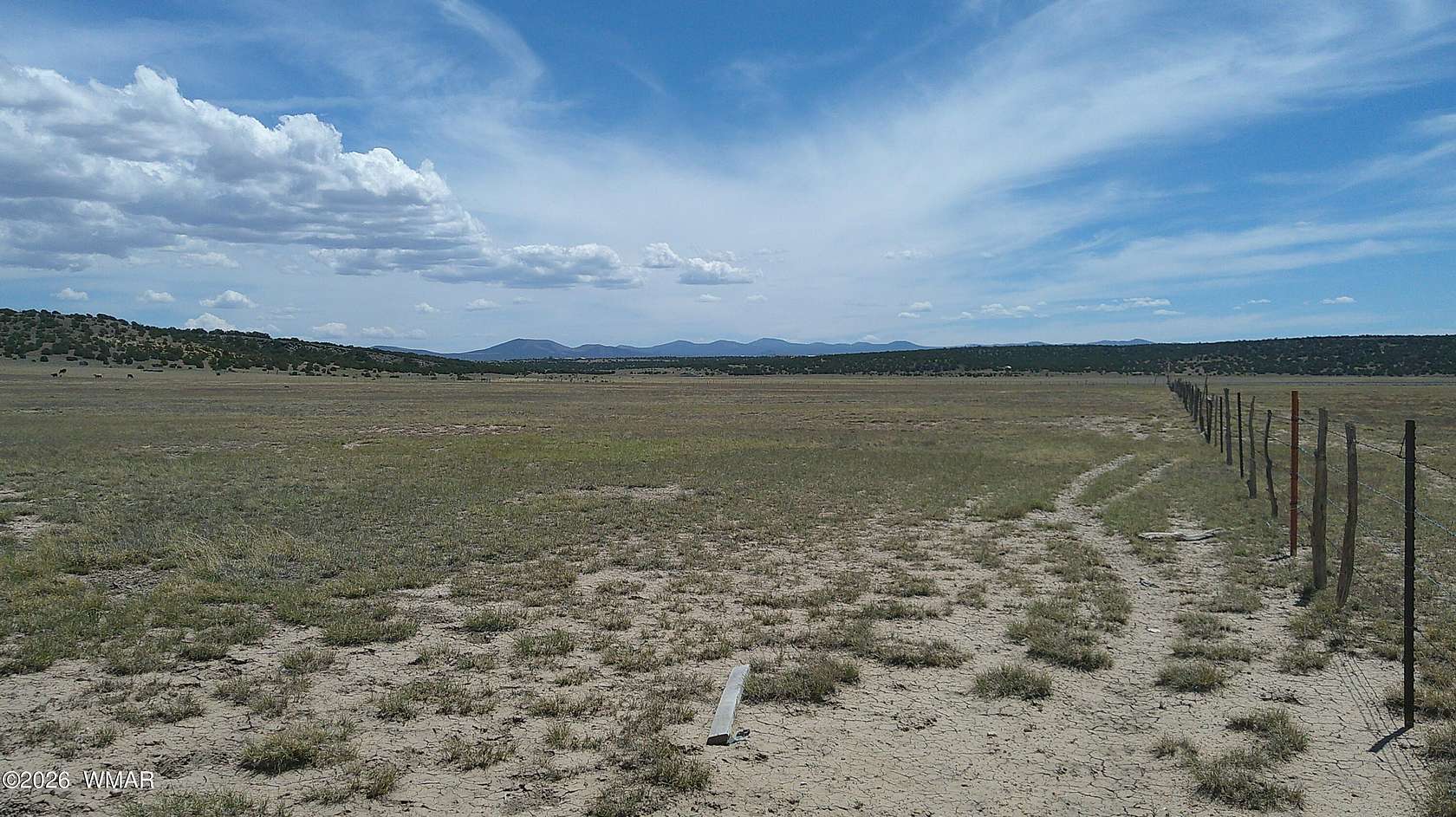 40 Acres of Agricultural & Residential Land for Sale in Concho, Arizona