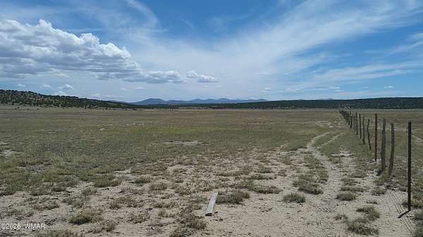 40 Acres of Agricultural & Residential Land for Sale in Concho, Arizona