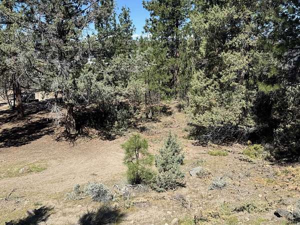 0.34 Acres of Residential Land for Sale in Weed, California