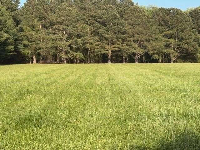 2.3 Acres of Residential Land for Sale in Exmore, Virginia